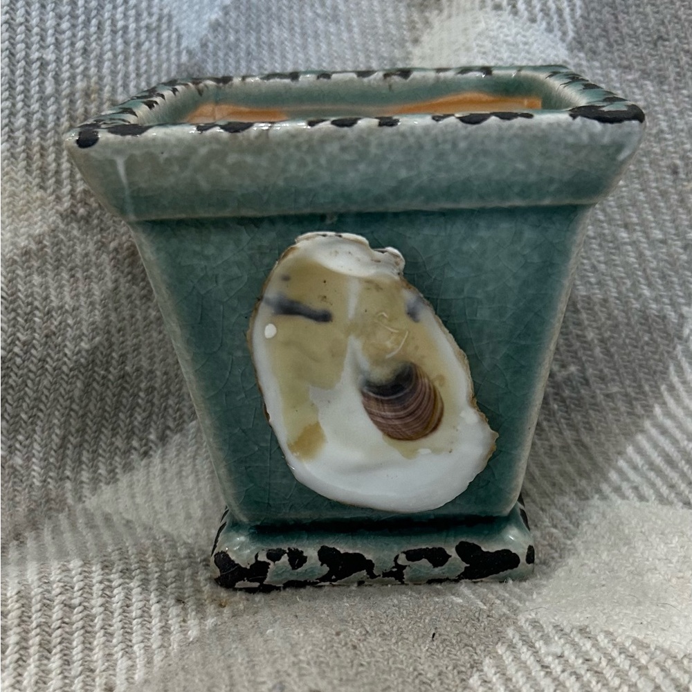 Small vase with oyster shell
